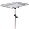 Hair Salon Rolling Cart Tray Stylist Instrument Stand on Wheels for