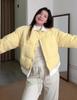 Winter Embroidered Fake Two-piece Short Cotton-padded Jacket