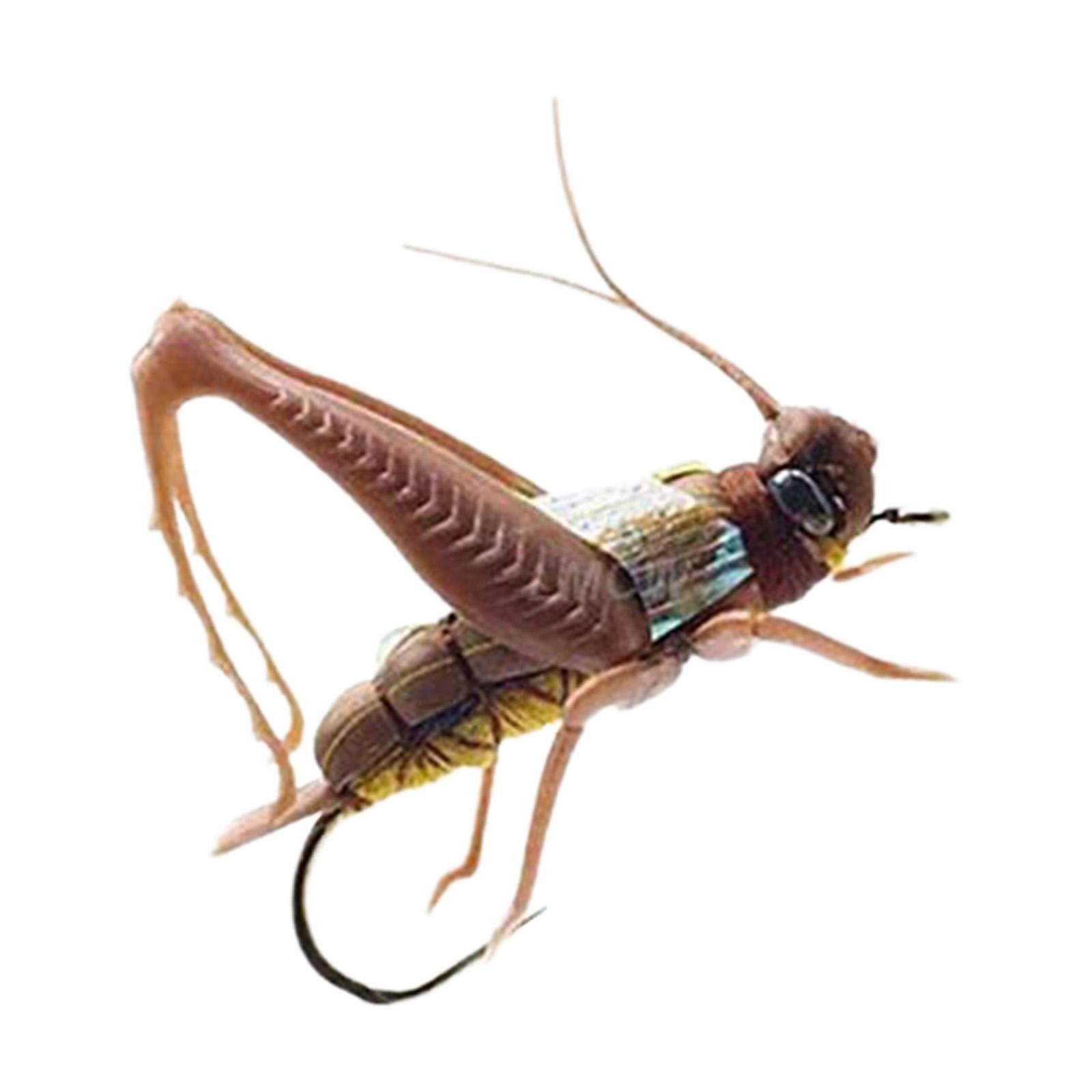 

Fishing Lure, Simulation Grasshopper Locust s Vibrant Color Vivid Bionic коричневий
