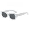 Unisex Fashion Trendy Retro Vintage Sunglasses Small Frame Oval Narrow Sunglasses for Street Photography UV Protection