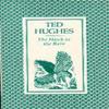 The Hawk In the Rain by Ted Hughes Paperback Book 9780571086146