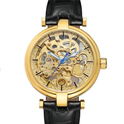Montre Mécanique Automatique Étanche Mode Homme Européenne et Américaine Mouvement Mécanique Squelette Gravé