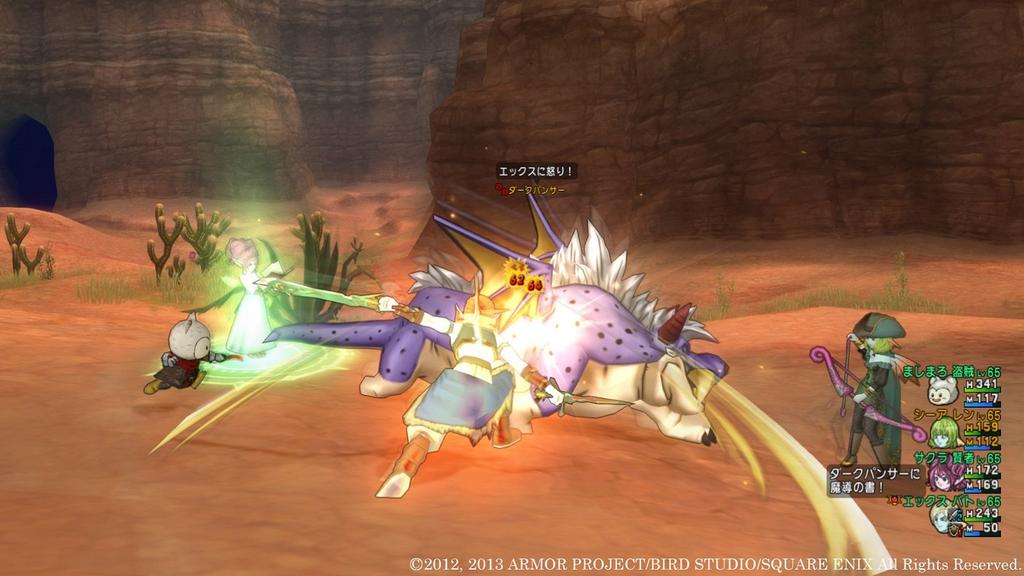 Dragon Quest X: Awakening of the Five Races Online (Windows Version)