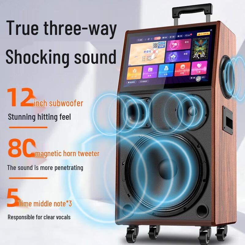 SANSUI PC159 Outdoor Karaoke System with 22-inch Screen