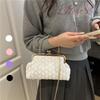 Ketten Party Bankett Tasche Blume Umhängetasche Tragbar Kussverschluss Schultertasche Reise