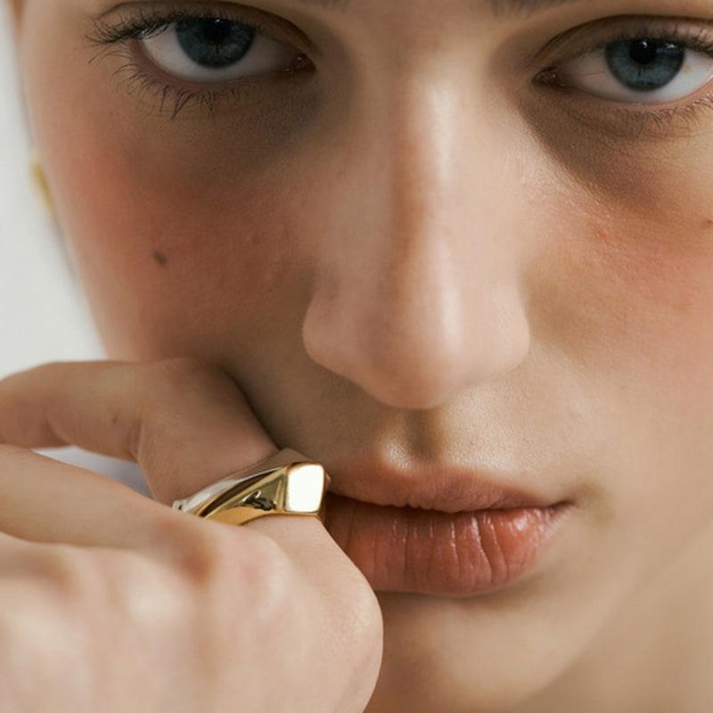 

cellmute 22SS PICNIC_R12 SILVER