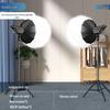 Professional-Grade LED Floor-Standing Spherical Fill Light for Photography and Livestreaming