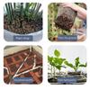 500g/pack Leca Balls Clay Pebbles For Plants, Clay Pebbles For Hydroponic Growing,