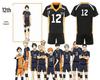 Haikyuu Karasuno High School Volleyball Uniform Cosplay Jersey