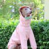 Kleiner Greyhound Whippet Sommer Freizeitstil Elastisch Schnelltrocknend Mit Kapuze Zweiteiliger Anzug Abnehmbare Mütze Wasserdichter Regenmantel Auf Lager