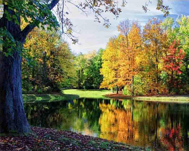 Diamond Painting Red Rose Yellow Dog Full Square Round New Arrival 5D DIY Diamond Embroidery Panther Animal Cross Stitch Needlework Home Decoration