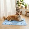 Pet Ice Pad Summer Hydrogel Cool Dog Pad Scratch Resistant  Ice Pad