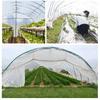 PE Plastic Film Transparent Dustproof Garden Plant Cover Greenhouse Agricultural Accessory2x10m / 6.6x32.8ft