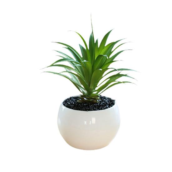 Fałszywe rośliny doniczkowe Odporne na warunki pogodowe rekwizyty fotograficzne Szerokie zastosowanie Doskonałe mini sukulenty Biurko Akcesoria domowe doniczkowe