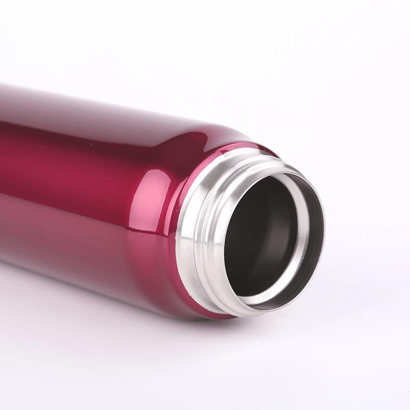 Thermos JNL-600 Insulated Water Bottle