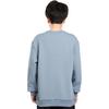 Li Ning Badminton Series Solid Color Logo Running Sports Pullover Long Sleeve Sweatshirt Men sweatshirt Gray AWDTD81-5