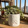 3D Printing Succulent Plant Container Cylinder Shape Decorative Planter Flower Pot  Desktop Decor