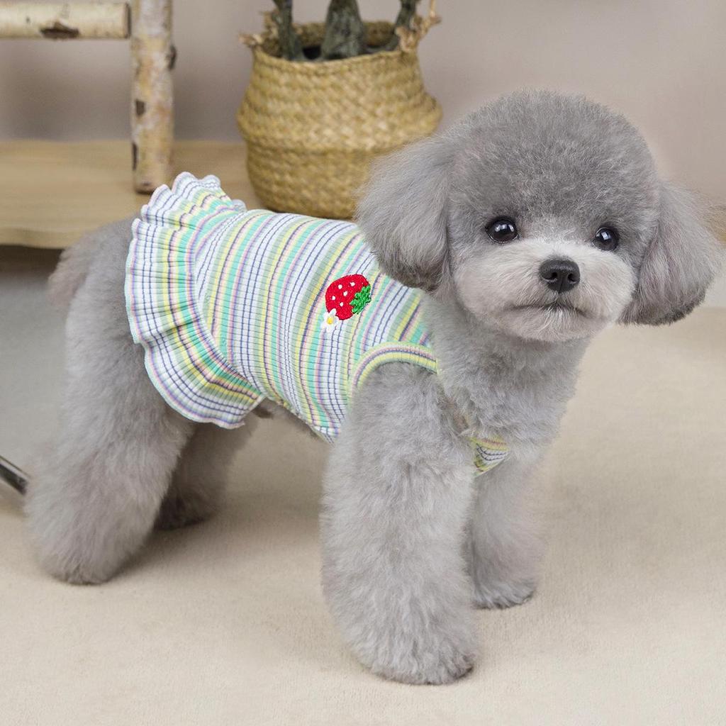 Striped Strawberry Princess Dress for Small Dogs - Spring/Summer Collection
