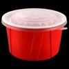 Disposable Takeaway Food Container