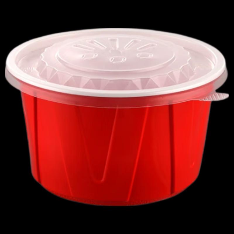 Disposable Takeaway Food Container