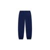Li-Ning Daily Gold Print Sport Sweatpants with Elastic Ankles Unisex Bottoms Navy-Blue AKLT231-1
