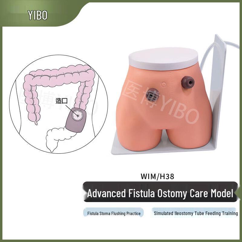 WIM/H38 Advanced Fistula Ostomy Training Model