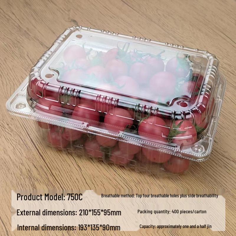 Portable Disposable Transparent Plastic Rectangular Fruit Packaging Box with Lid
