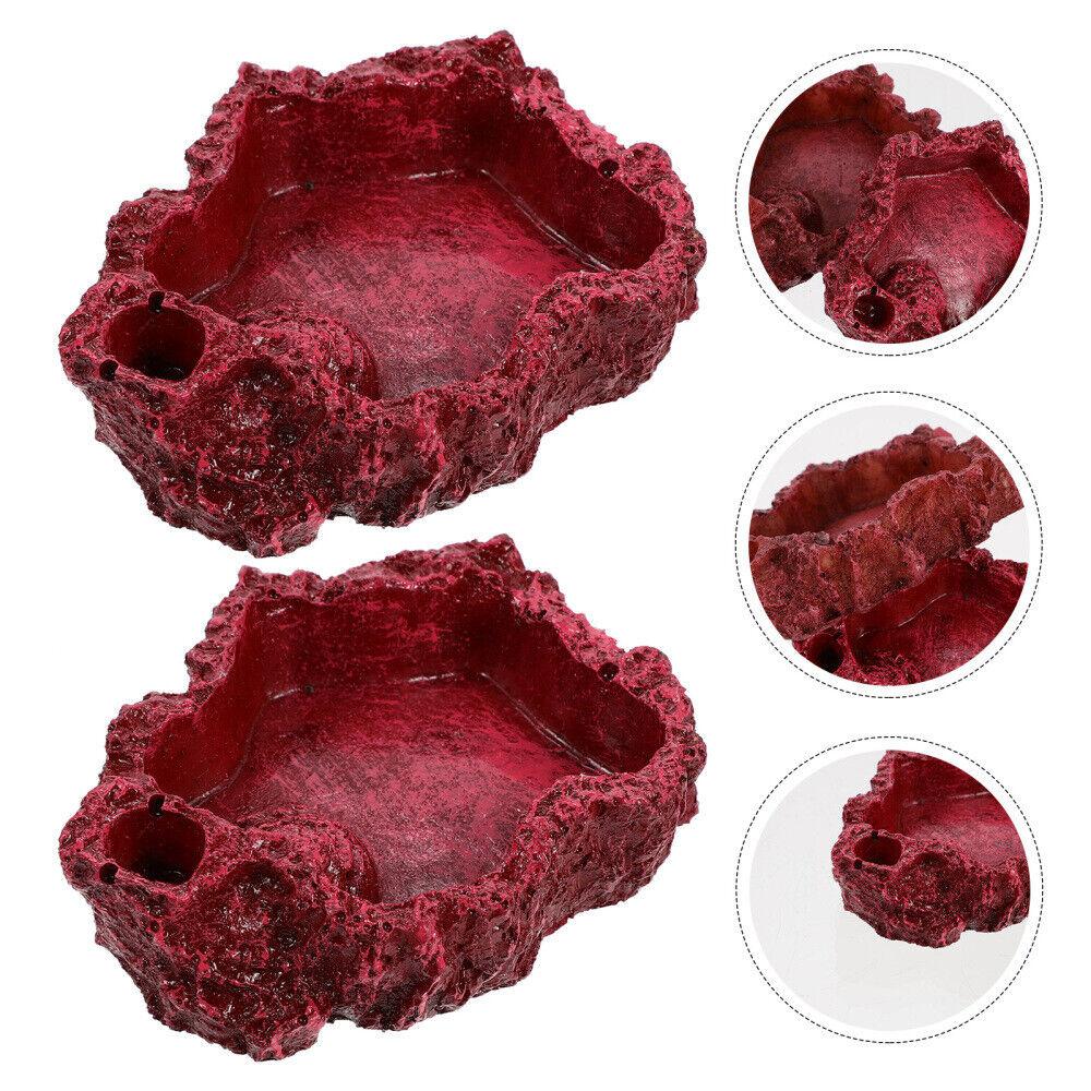 

Water Bowl Crawl Pet Feed Tray Reptile Food Basins Reptile Feeder Bowls Reptile Water Dishes