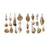 22 Pieces Collection Of Beach Shell Charm Suitable For DIY Keychains Necklaces And Fashion Accessories