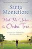 Meet Me Under the Ombu Tree by Santa Montefiore Paperback Book 9781471132124
