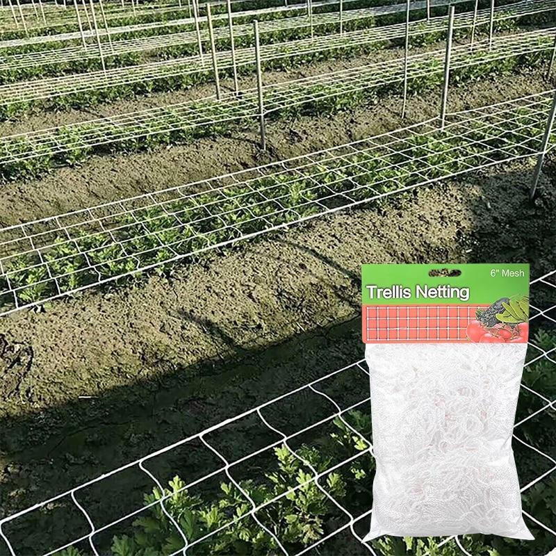 Horolezecká síť na zahradní rostliny Těžký polyester Morning Glory Vine Horolezecká síť Hydroponická síť na zahradu Síť na růst rostlin Podpora mřížky Síťovina Zahradní nářadí
