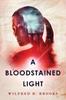 The A Bloodstained Light A Fantasy Mystery by Wilfred Brooks - Paperback Book