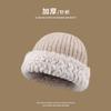 Wool hat women's autumn and winter 2025 new thickened warm face small versatile plush wool fisherman hat