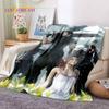 Final Fantasy Series Games Soft Blankets,Keep Warm Throw Blanket Comfortable Blanket for Picnic Beds Sofa Home Bedroom Gift Kids