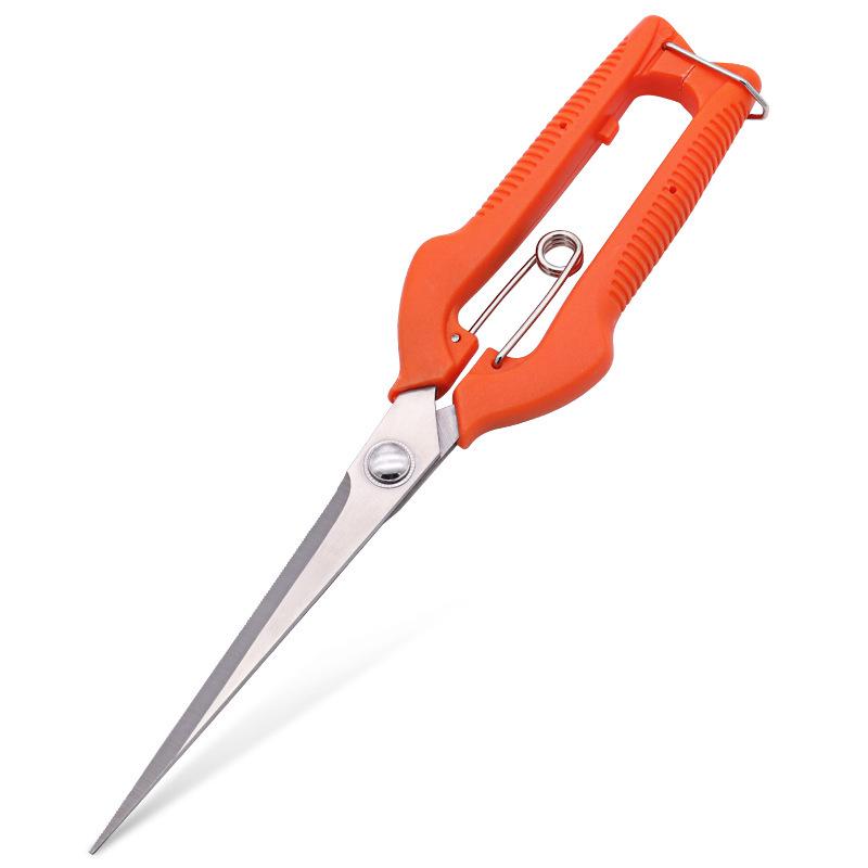 245mm Black Goji Berry Pruning Shears - Extended Fruit Picking Garden Scissors