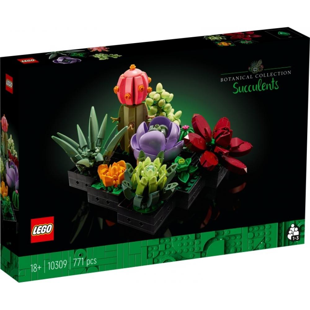 

[Additional 20 duplicate discount coupon] LEGO Succulents 10309