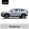 Haval H6 Cool Dog Touch-Up Pen, Black Spot & Ruixue White Scratch Repair Paint