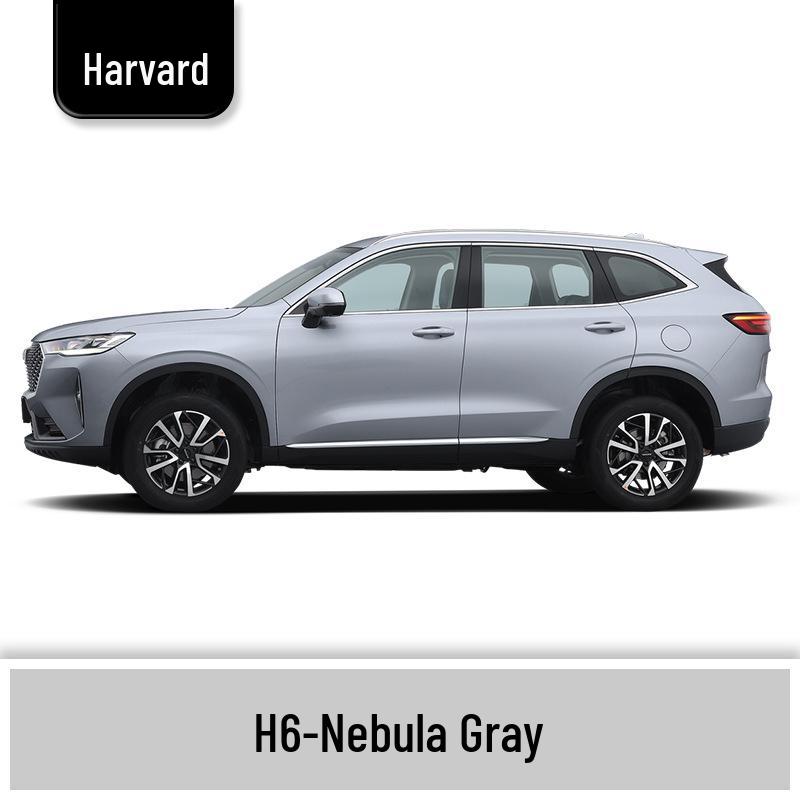 Haval H6 Cool Dog Touch-Up Pen, Black Spot & Ruixue White Scratch Repair Paint