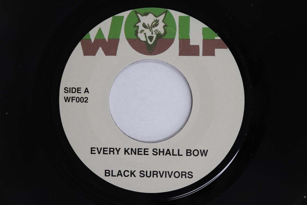 7inch Record BLACK SURVIVORS  JACK RUBY PLAYERS  Every Knee Shall Bow  Every Dub WF002 WOLF 2012 UK Reggae Ska  Dub Used
