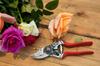 Felco Model 14 Red Secateurs,
