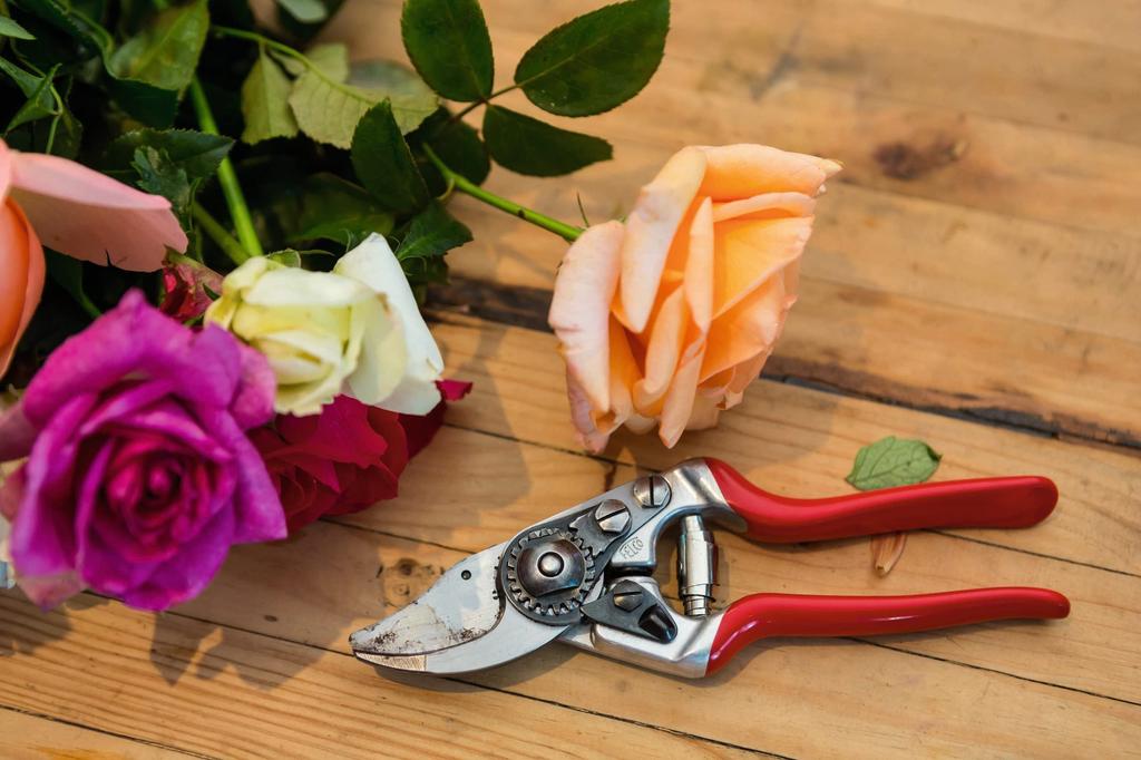 Felco Model 14 Red Secateurs,