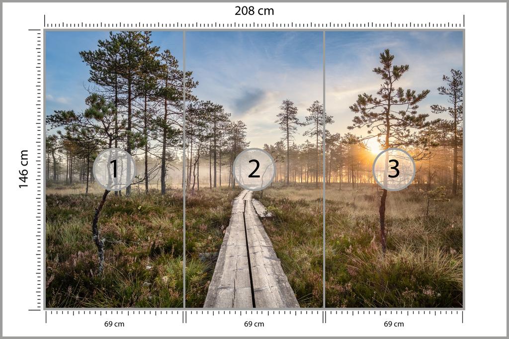 Photomural Wooden Path In The Forest Structural Vinyl 208x146