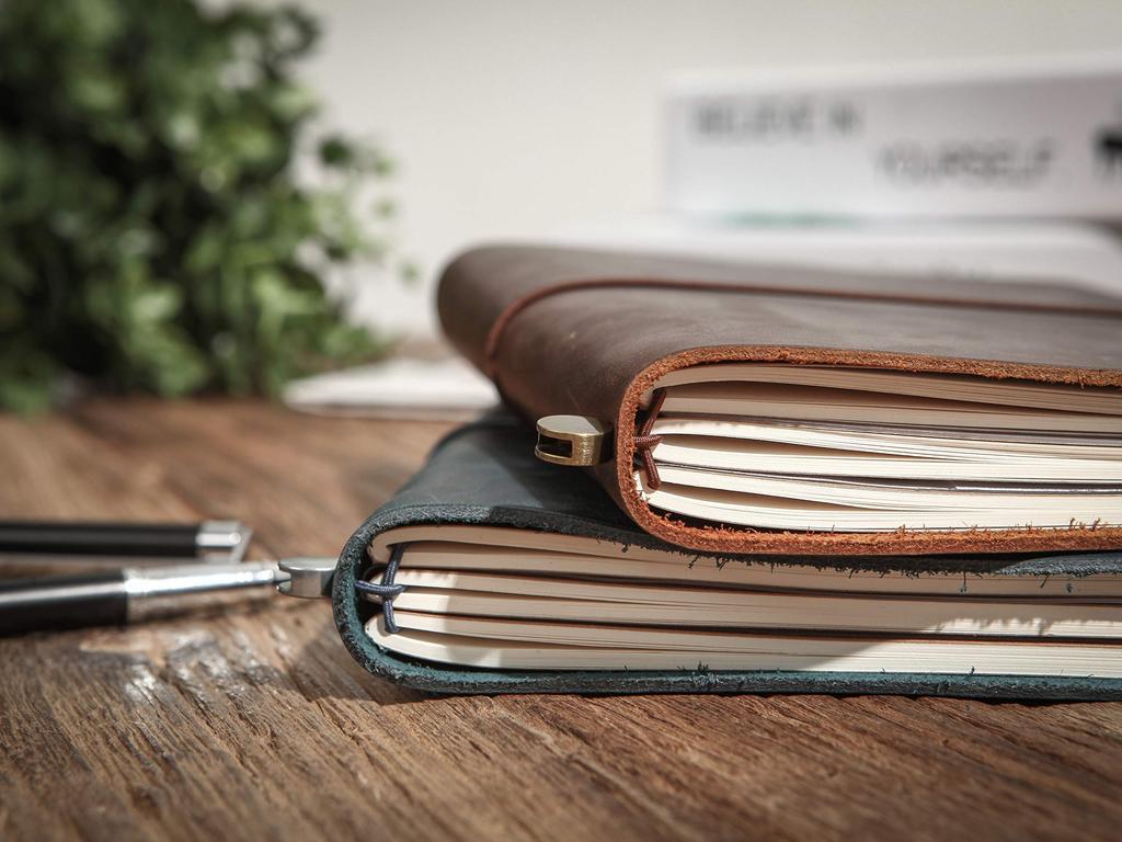 Collasaro Genuine Leather Notebook, Planner, Diary, Regular Size (Brown)