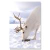 Flower Lake Snow Owl Deer Forest Landscape Winter Wall Art Canvas Painting Nordic Posters And Prints Wall Pictures Home Decor