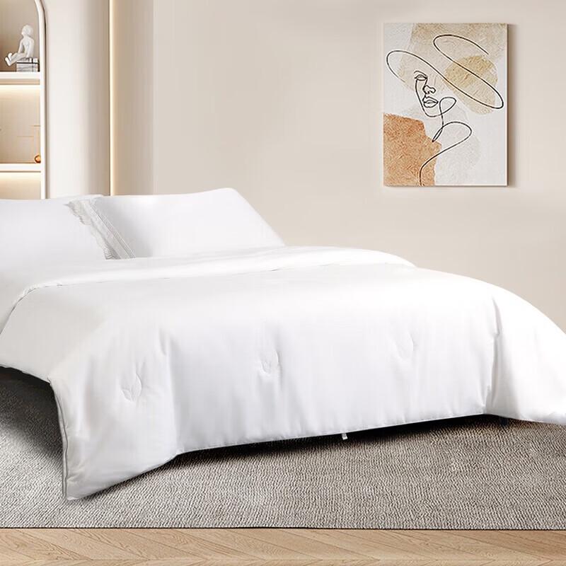 Mercury Home Textiles Cloud Silk Rhyme Polyester Fiber Quilt