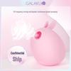 Galaku Roguish Rabbit Sucking Vibrator & Masturbator for Women - Erotic Massage Toy for Instant Orgasm