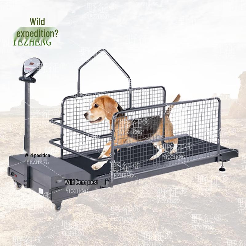 Dog Training Treadmill C300W