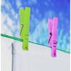 Plastic Clothes Peg (Pack of 24)