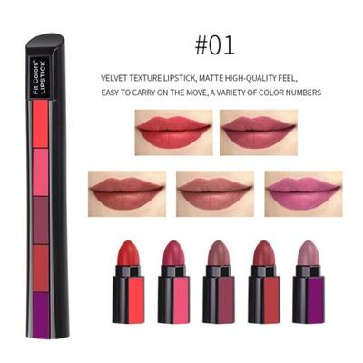 Brillant à lèvres, teinte pour les lèvres, baume à lèvres, crayon à lèvres, rouge à lèvres de tatouage de coloration difficile à enlever, ensemble mat 5 en 1, haute couleur longue durée, 01, 1 ensemble