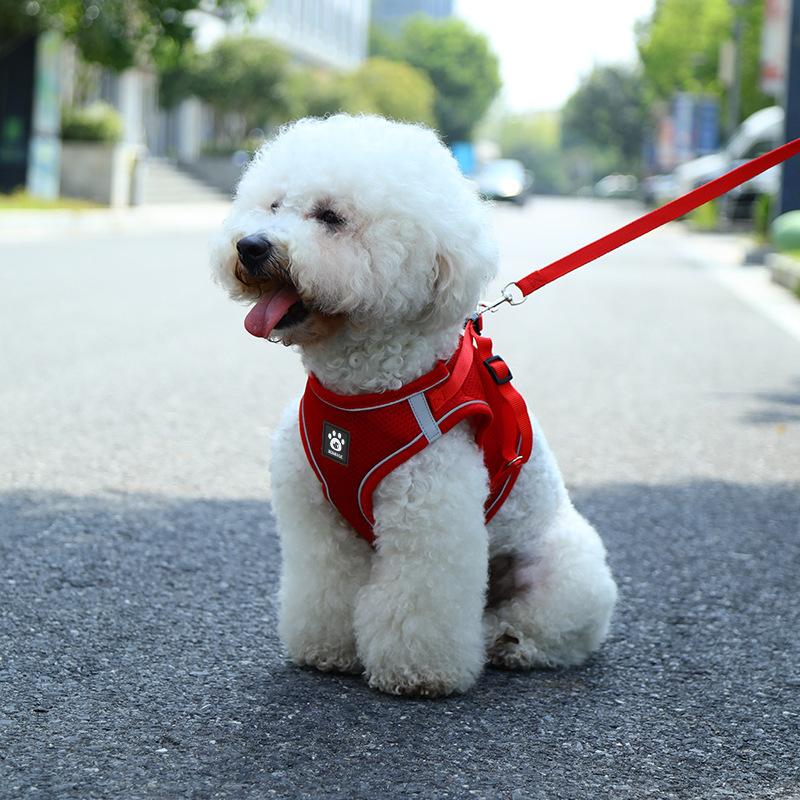 

Cat leash anti-break free vest type Internet celebrity walking cat rope British short go out special cat chain pet chest strap S [Recommended 3-3kg]